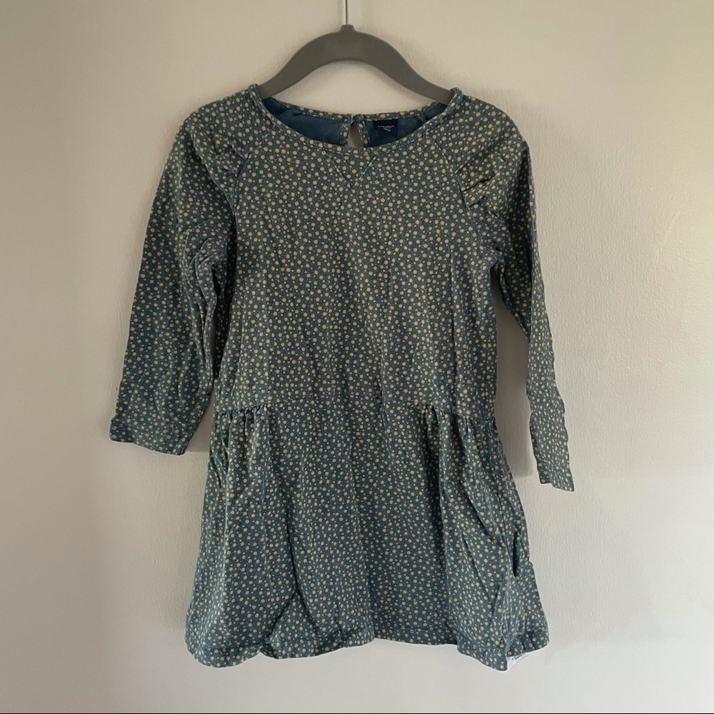 Baby Gap Dress